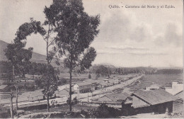 EQUATEUR(QUITO) ARBRE - Ecuador
