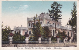 EQUATEUR(QUITO) ARBRE(ECOLE) - Ecuador