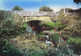 77 REBAIS LE PONT FLEURI - Rebais