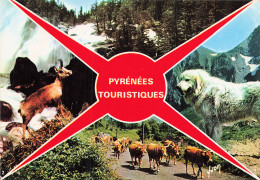 64 MAULEON LICHARRE LES PYRENEES - Mauleon Licharre