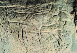 64 HASPARREN GROTTES D ISTURITZ ET D OXOCELHAYA - Hasparren