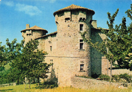 7 LE CHEYLARD LE CHATEAU DE LA MOTHE - Le Cheylard