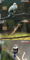 SWITZERLAND - CHIP CARD - SWISSCOM - SERIES 38 - WORLD OF BIRDS - Switzerland