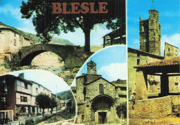 43 BLESLE LE CLOCHER SAINT MARTIN - Blesle