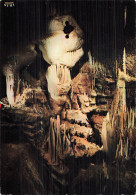 46 LACAVE LA TARASQUE - Lacave