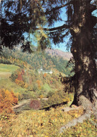 74 FAVERGES L ABBAYE DE TAMIE - Faverges