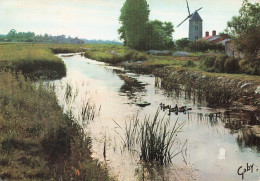 85 CHALLANS AU PAYS DE MONTS - Challans