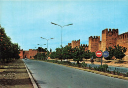 MAROC - Touroudant - Taroudant - Route - Voiture - Porte - Bâtiment - âne - Transport - Fruit - Carte Postale - Agadir
