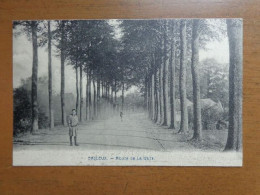Baileux: Route De La Gate -> Onbeschreven - Chimay