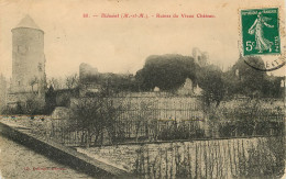BLAMONT - RUINES DU VIEUX CHATEAU (scan Recto-verso) PFRCR00057 P - Blamont