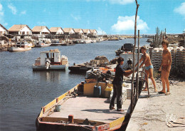 33 ARES La Port  (scan R/V) 15 \PFRCR00096P - Arès