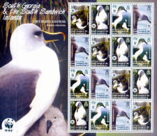 South Georgia. Fauna. Albatros 2003. - Falkland Islands