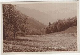 Champ De Narcisses Aux Pleïades Et Dts Du Midi - (Schweiz/Suisse/Svizzera) - Montreux