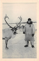 ESQUIMAU USA ALASKA Barrow Utqiagvik Denbigh Détroit De Behring Renne Et Son Maitre Inuit Canada Eskimo 28 OO 0932 - Fairbanks