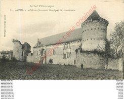 46.  ASSIER .  Le Château .  Façade Extérieure . - Assier