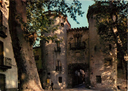ROUSSILLON, La Porte De France Et Les Tours Des Anciens Remparts (scan Recto-verso) Ref 1046 - Roussillon