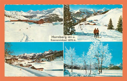 A485 / 483 Suisse HORNBERG Saanenmoser Multivues - Berg