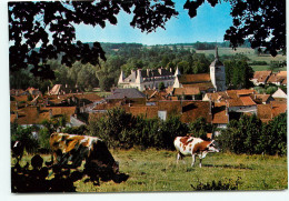 52. Cpsm. ARC-EN-BARROIS. Vue Prise De La Motte. 28 (scan Recto-verso) QQ 1165 - Arc En Barrois