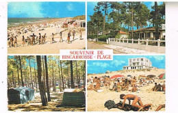 40  SOUVENIR DE  BISCARROSSE    1984 - Biscarrosse