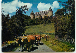 ROCHECHOUART Le Chateau RR 1227 - Rochechouart