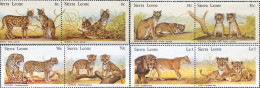 231953 MNH SIERRA LEONA 1981 FELINOS Y SUS CRIAS. - Autres & Non Classés