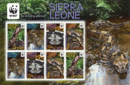 264637 MNH SIERRA LEONA 2011 SALVAD EL PLANETA - Ongebruikt