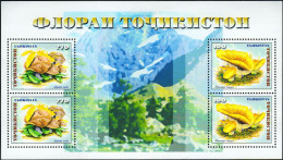 Tajikistan. 1999. Mushroom. Champignon - Tadjikistan