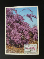 Carte Maximum Card Fleurs Bougainvillée Flowers Monaco 1959 - Maximumkarten (MC)