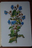 Petit Calendrier De Poche 1996 Plante Bourrache - Calendrier St Jean 3 Volets - Petit Format : 1991-00