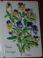 Petit Calendrier De Poche 1998 Plante Fleur Pensée Sauvage Pharmacie Dourdan Essonne Calendrier St Jean 3 Volets - Petit Format : 1991-00