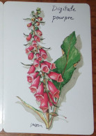 Petit Calendrier De Poche 1998 Plante Fleur Digitale Pourpre Calendrier St Jean 3 Volets - Petit Format : 1991-00