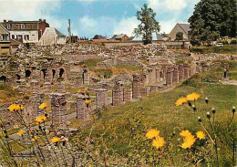 59 - Bavay - Vestiges Gallo-Romains - Site Archéologique - Carte Neuve - CPM - Voir Scans Recto-Verso - Bavay