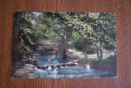 G664 Stepping Stones Jesmond Dene Newcastle Upon Tyne - Newcastle-upon-Tyne