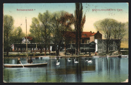 AK Mühlhausen I. Thür., Gasthaus Am Schwanenteich Mit Boot - Mühlhausen