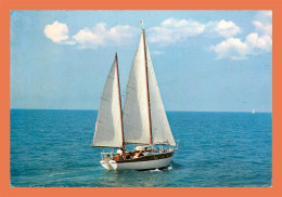A608 / 657 Voilier Sur La Mer Calme Bateau - Fischerei