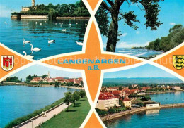 Langenargen Bodensee Uferpromenade Schwaene Fliegeraufnahme - Langenargen