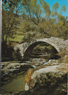 Ancien  Pont...a Peage.ariege - Bridges