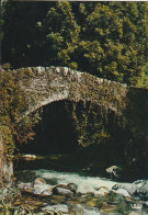 Vieux Pont  Ariege - Bridges