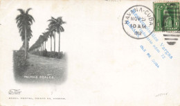 Havana  Palmas Reales - Cuba
