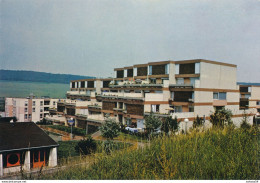 54) FROUARD : Grains Jardins De La PENOTTE - Frouard