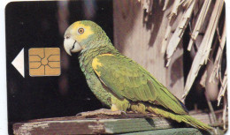 NETHERLANDS ANTILLES - CHIP CARD - BONAIRE - TELEFONIA BONAIRIANO - BIRD - YELLOW-SHOULDER PARROT - Antillas (Nerlandesas)