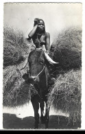 Tchad -  Abeche  -  Boeuf Porteur - Femme - Tschad