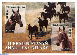 Turkmenistan 2001 Horses 2v M/s, Mint NH, Nature - Horses - Turkménistan