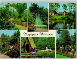 10333004 - Walsrode - Walsrode