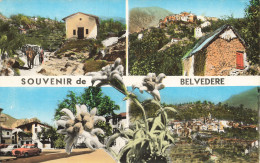 06-BELVEDERE-N°T5313-B/0217 - Belvédère