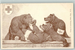 13634444 - Schwierige Operation Baeren Tiere Vermenschlicht Verband Sanitaeter - Red Cross