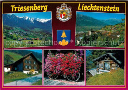 Triesenberg Fuerstentum Liechtenstein Walsersiedlung Altes Walserhaus Blumenwage - Liechtenstein