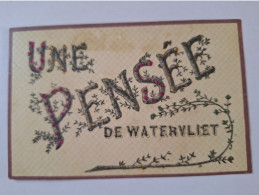 WATERVLIET UNE PENSEE DE AUTHENTIEKE GLINSTERKAART  PRACHTIG TOP (j) - Sint-Laureins