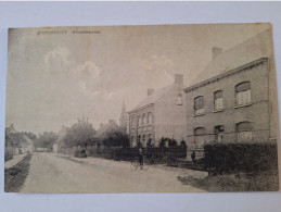 WATERVLIET KLOOSTERSTRAAT  GEANIMEERD MOOI ZICHT   PRACHTIG TOP (j) - Sint-Laureins