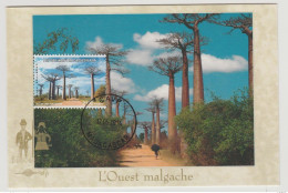 Madagascar Madagaskar 2014 Mi. 2666 Carte Maximum Baobabs Trees Arbres Bäume Flora Joint Issue China Emission Commune - Emissions Communes